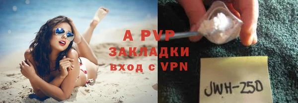 стаф Волоколамск